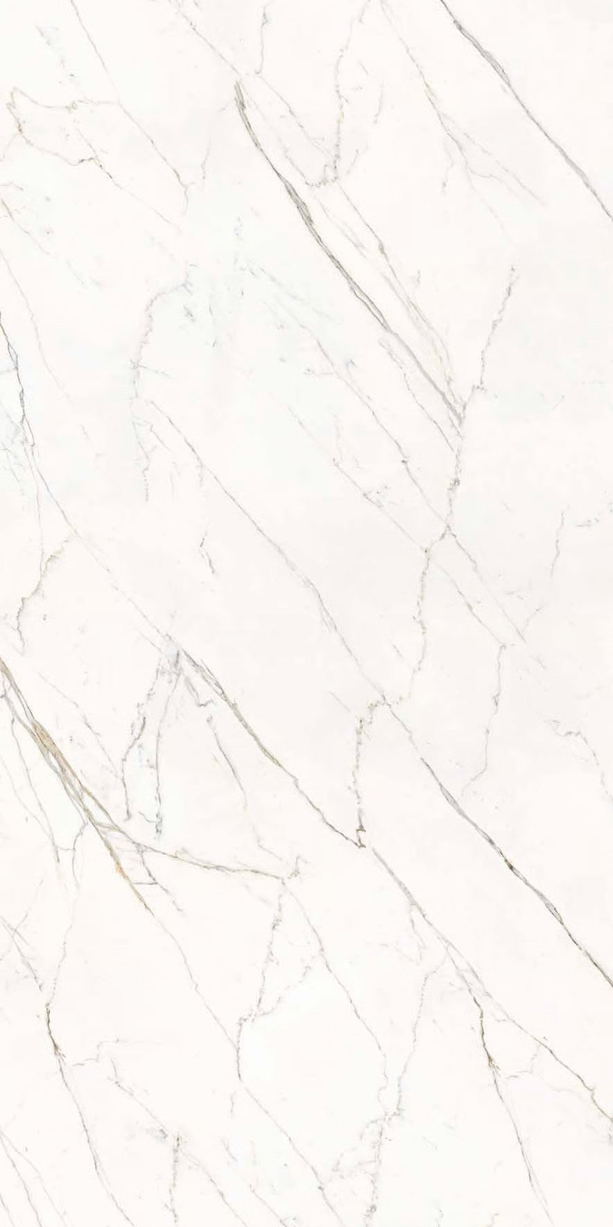 Calacatta Statuarietto