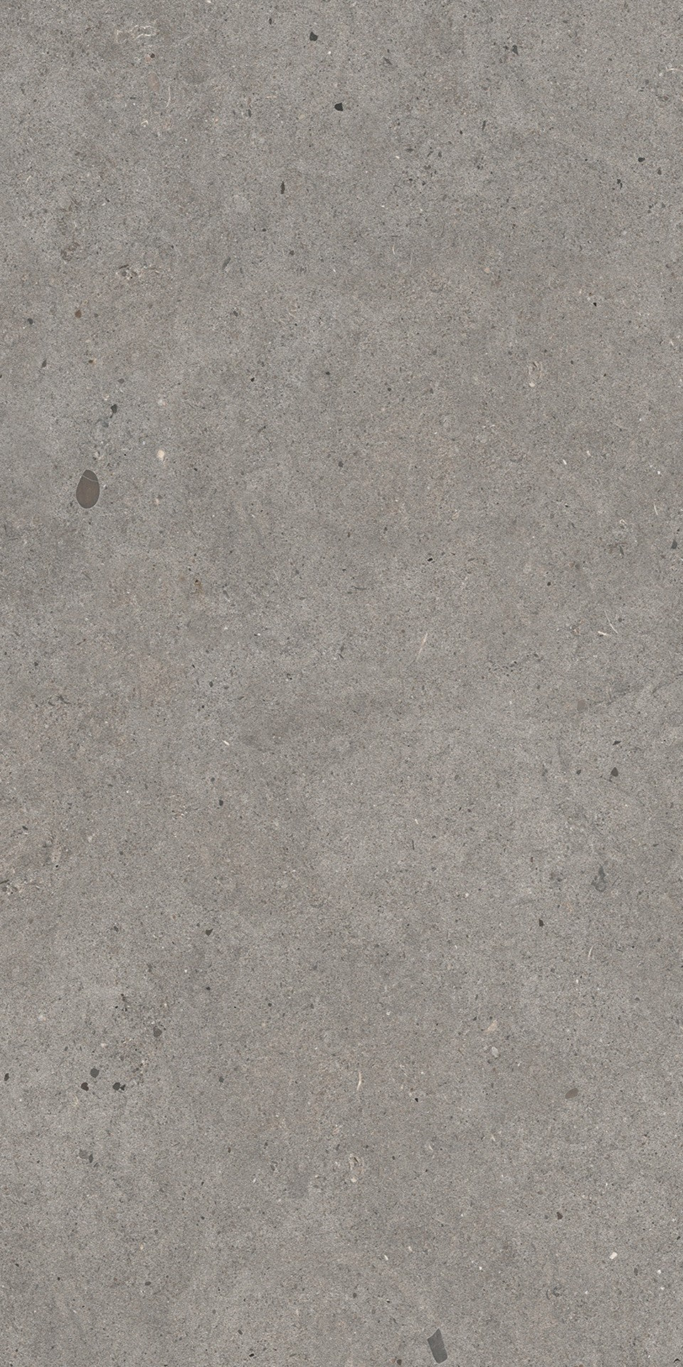 Gris Catalan