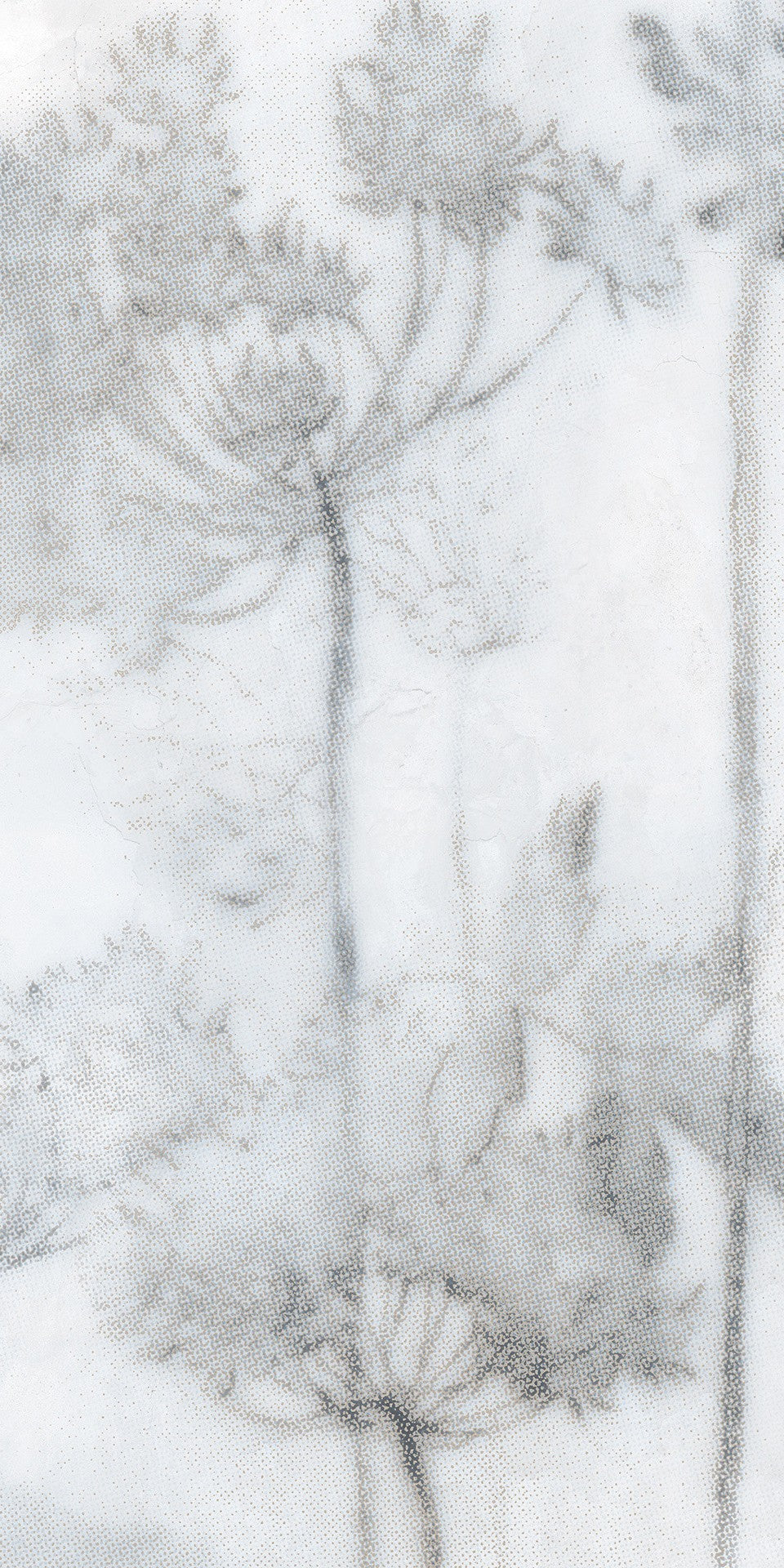 Papier Froid