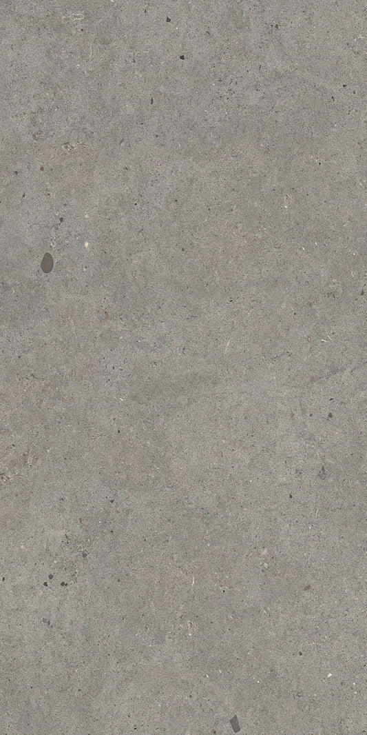 Gris Catalan